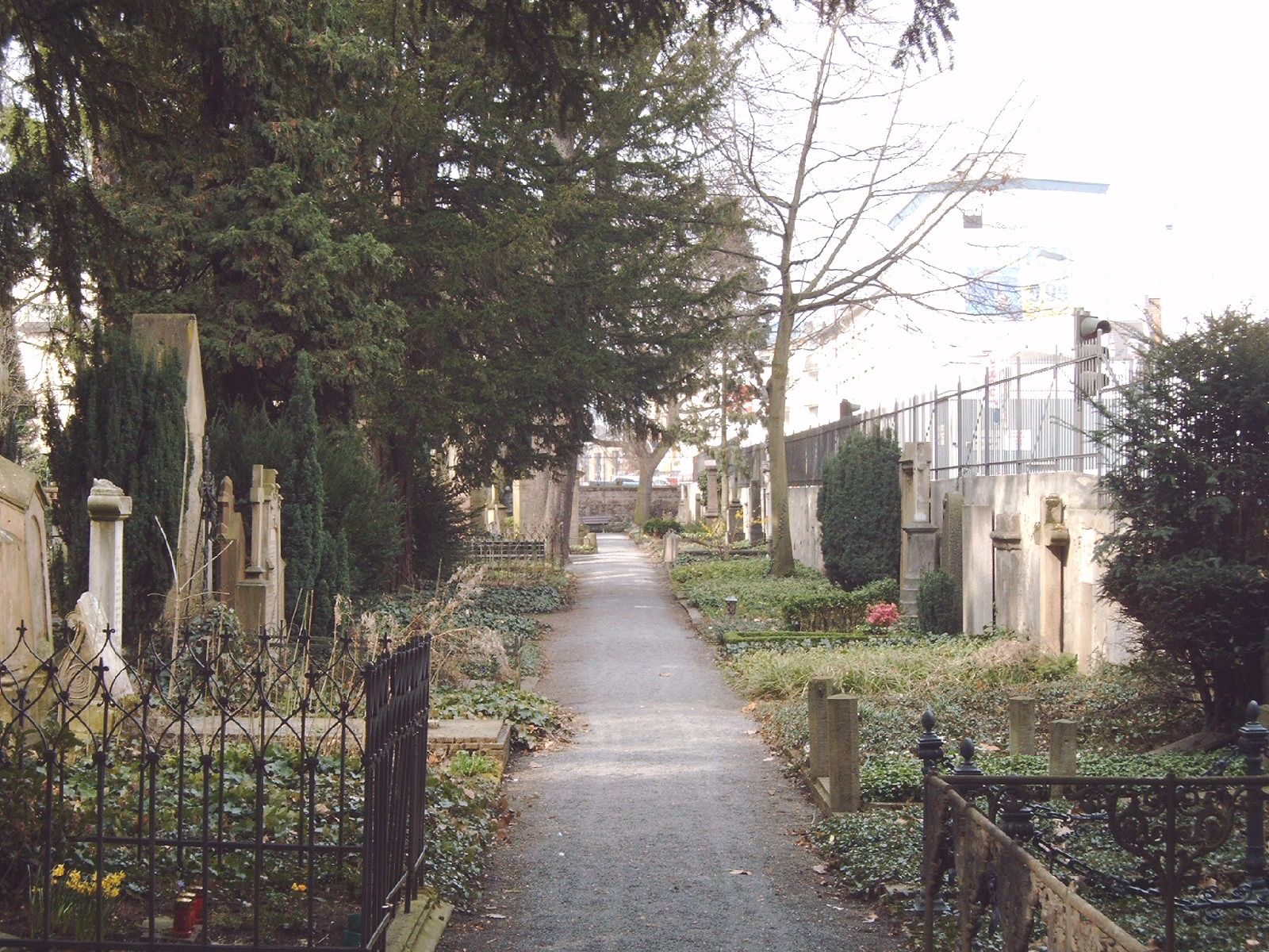 Weg auf dem Alten Friedhof Bonn – Alter Friedhof Bonn